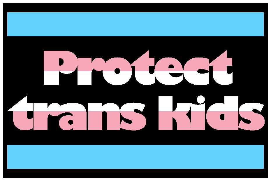 sticker that says protect trans kids